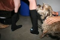IMG_2495.jpg (86kb)