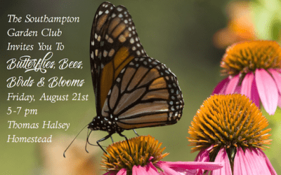 butterflies