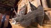 Party Pics: Animal Avengers