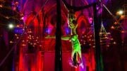 th Street Y Purim Gala