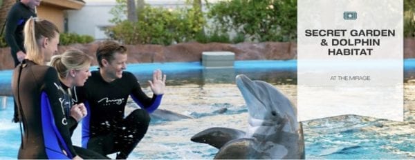 siegfried roys secret garden dolphin habitat located inside the mirage 3400 las vegas blvd s las vegas - Secret Garden Las Vegas siegfried roys secret garden dolphin habitat located inside the mirage 3400 las vegas blvd s las vegas - Secret Garden Las Vegas